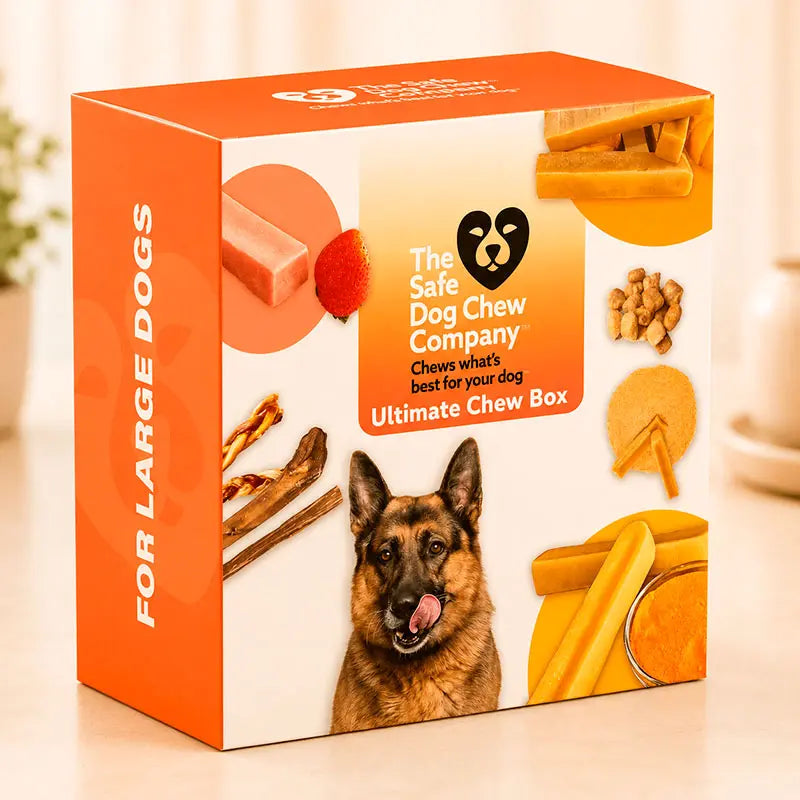 Ultimate Chew Box for Large Dogs | Premium Heavy-Chewer Bundle