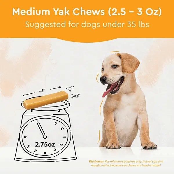 Regular/Unflavored Himalayan Yak Chews | 6-Sizes (for Small to Big Dogs)