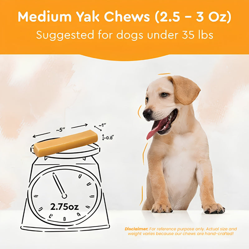 Himalayan Yak Chew medium size — for dogs 15-25 lbs