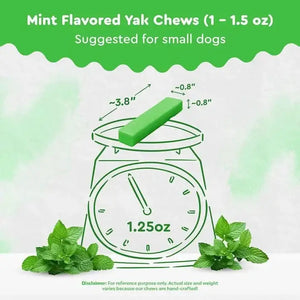 Mint Himalayan Yak Chew small size — perfect for dogs under 25 lbs