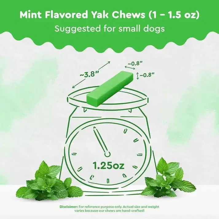 Mint Himalayan Yak Chew small size — perfect for dogs under 25 lbs