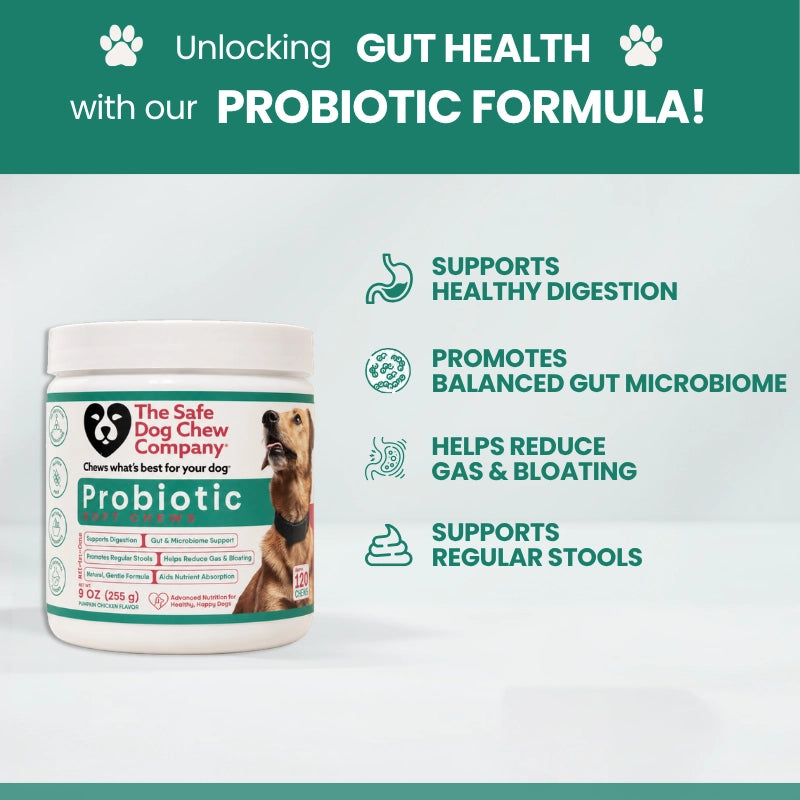 Probiotic Soft Chews — supports healthy digestion and immune system in 