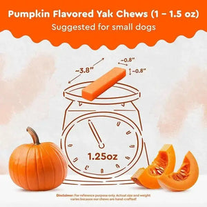 Pumpkin Himalayan Yak Chew small size — perfect for dogs under 25 lbs