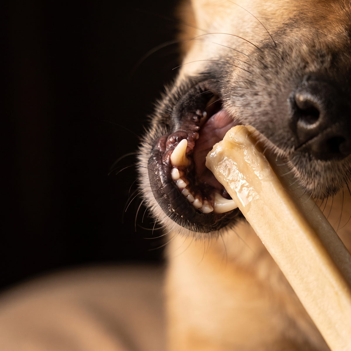 3,157 reviews, 90% say hours of chewing instead of minutes, and a 30-day money-back guarantee seal