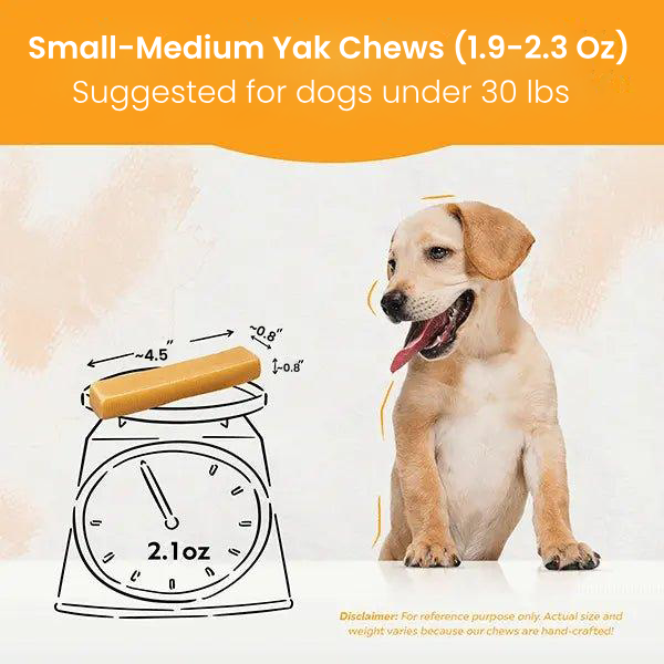 Regular/Unflavored Himalayan Yak Chews | 6-Sizes (for Small to Big Dogs)