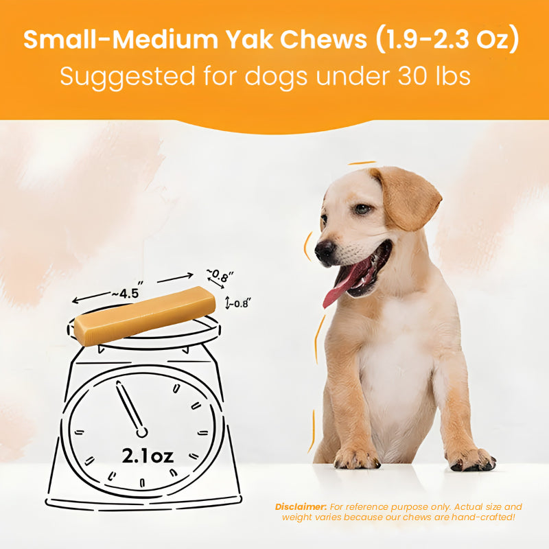 Himalayan Yak Chew small-medium size — for dogs 10-15 lbs