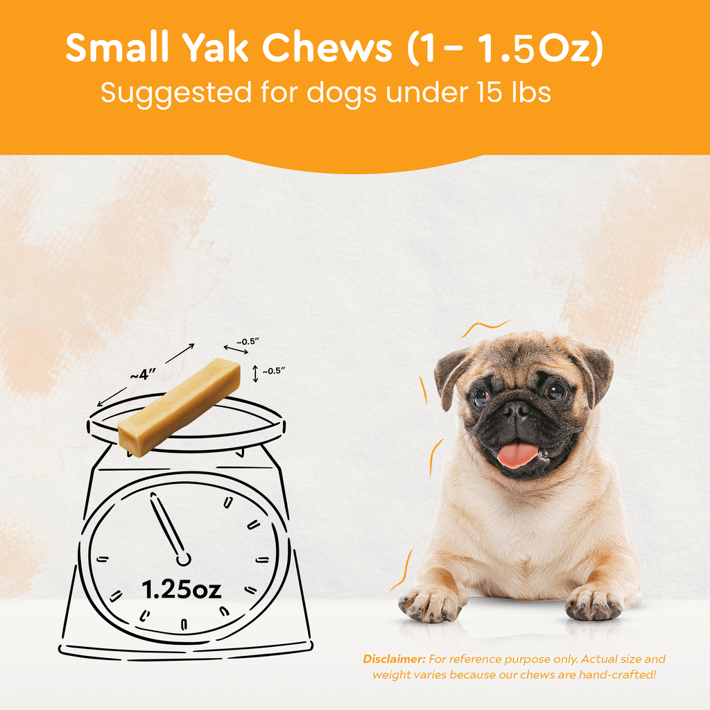 Regular/Unflavored Himalayan Yak Chews | 6-Sizes (for Small to Big Dogs)