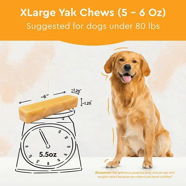 Regular/Unflavored Himalayan Yak Chews | 6-Sizes (for Small to Big Dogs)