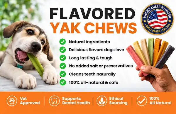 Himalayan Yak Chews — 6 Flavor Variety Pack | Find Your Dog's Favorite (NP2)