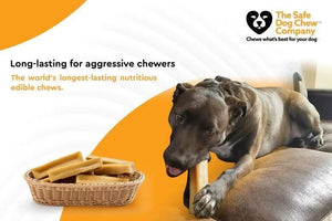 Himalayan Yak Chew small — ideal for small dogs under 10 lbs