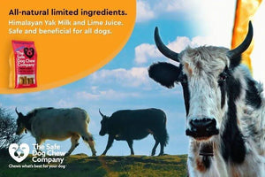 Himalayan Yak Chew medium — ideal for medium dogs 15-25 lbs