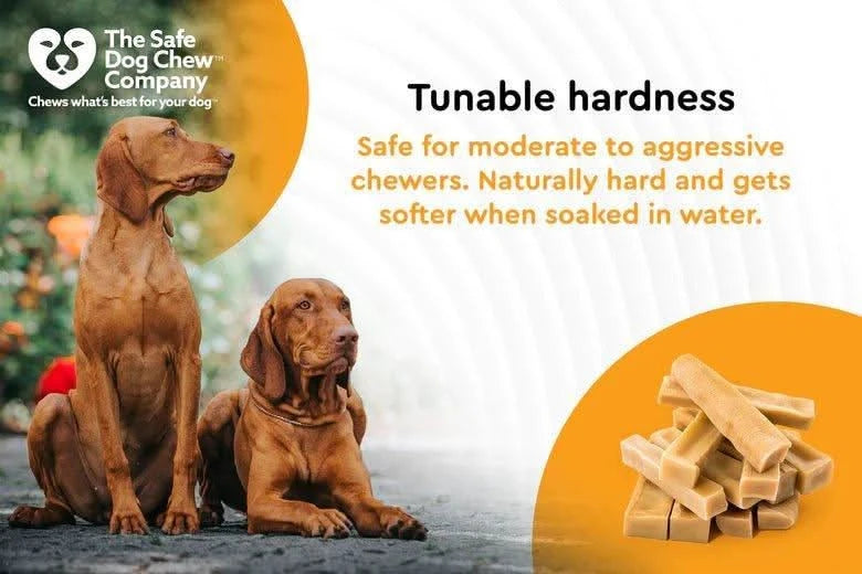 Himalayan Yak Chew large — ideal for big dogs over 25 lbs