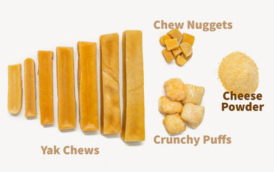 SEASONING POWDER (topping for dog food) - The Safe Dog Chew Company