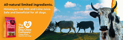 CRUNCHY CHEESE PUFFS - The Safe Dog Chew Company