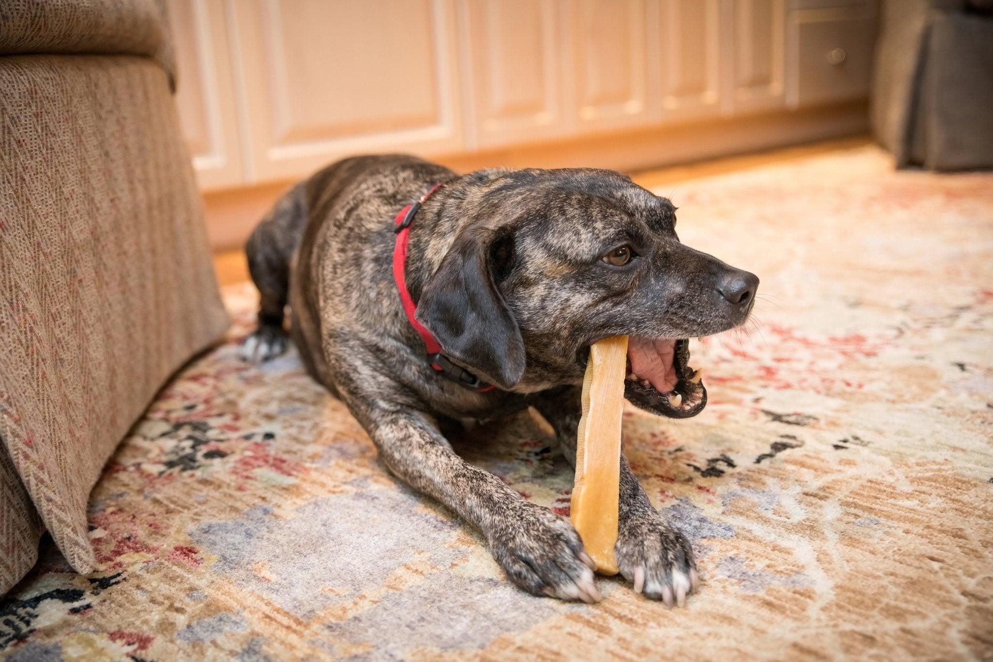 MEGA YAKS / Best for big dogs - The Safe Dog Chew Company